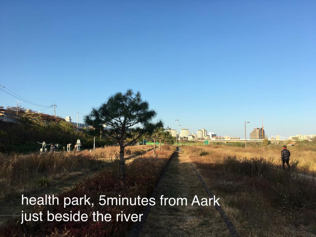 江陵市 アーク ハウスホステル エクステリア 写真