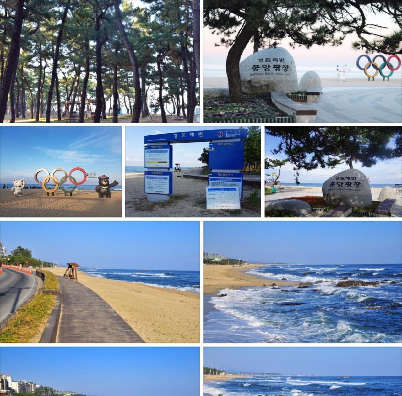 江陵市 アーク ハウスホステル エクステリア 写真